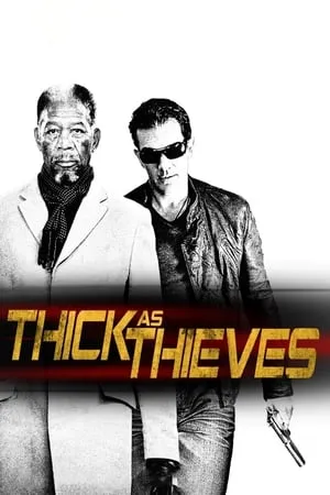 TnHits Thick as Thieves 2009 Hindi+English Full Movie BluRay 480p 720p 1080p Download